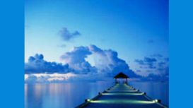 Life Harmony Life Harmony