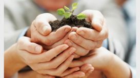 Therapy South Yorkshire Therapy South Yorkshire